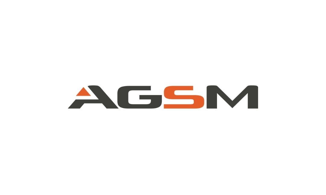 Partner Logo 7